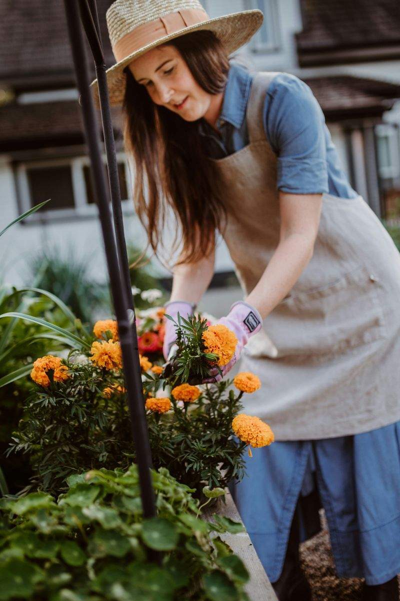 Grünblick Gartenservice GmbH