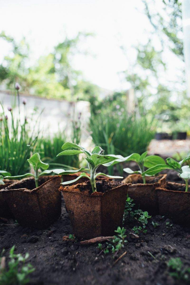 Grünblick Gartenservice GmbH