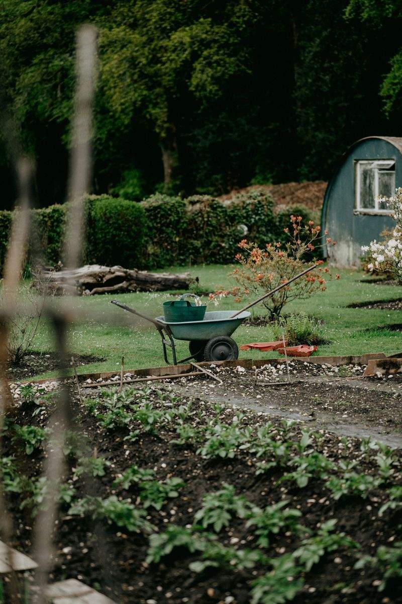 Grünblick Gartenservice GmbH