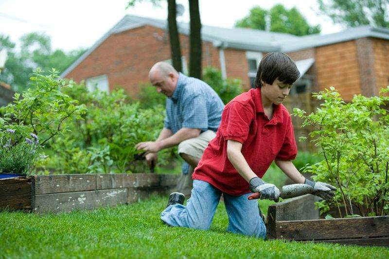 Rasenpflege im Frühling: So bleibt der Grünbereich vital