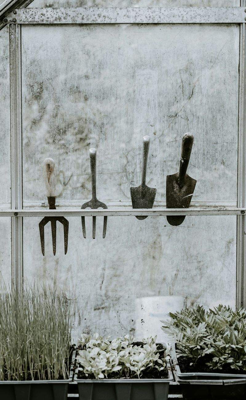 Saisonale Gartenauffrischung für ein Wohnhaus
