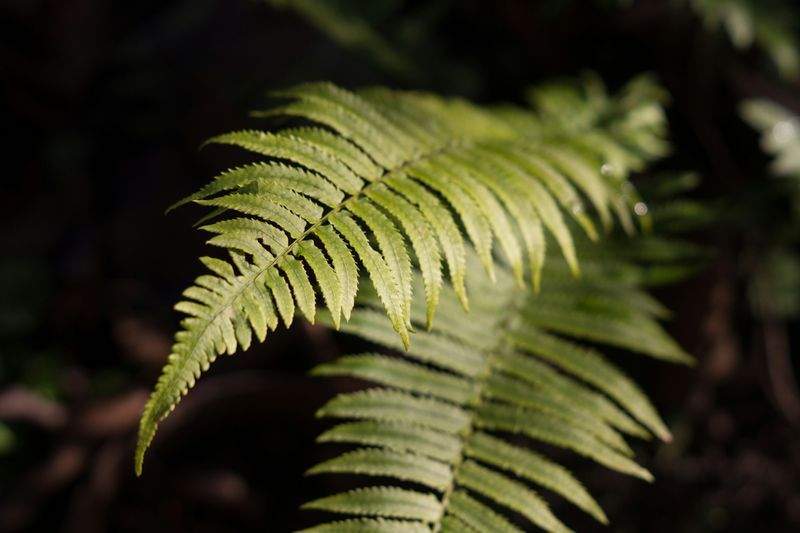 Grünblick Gartenservice GmbH 4