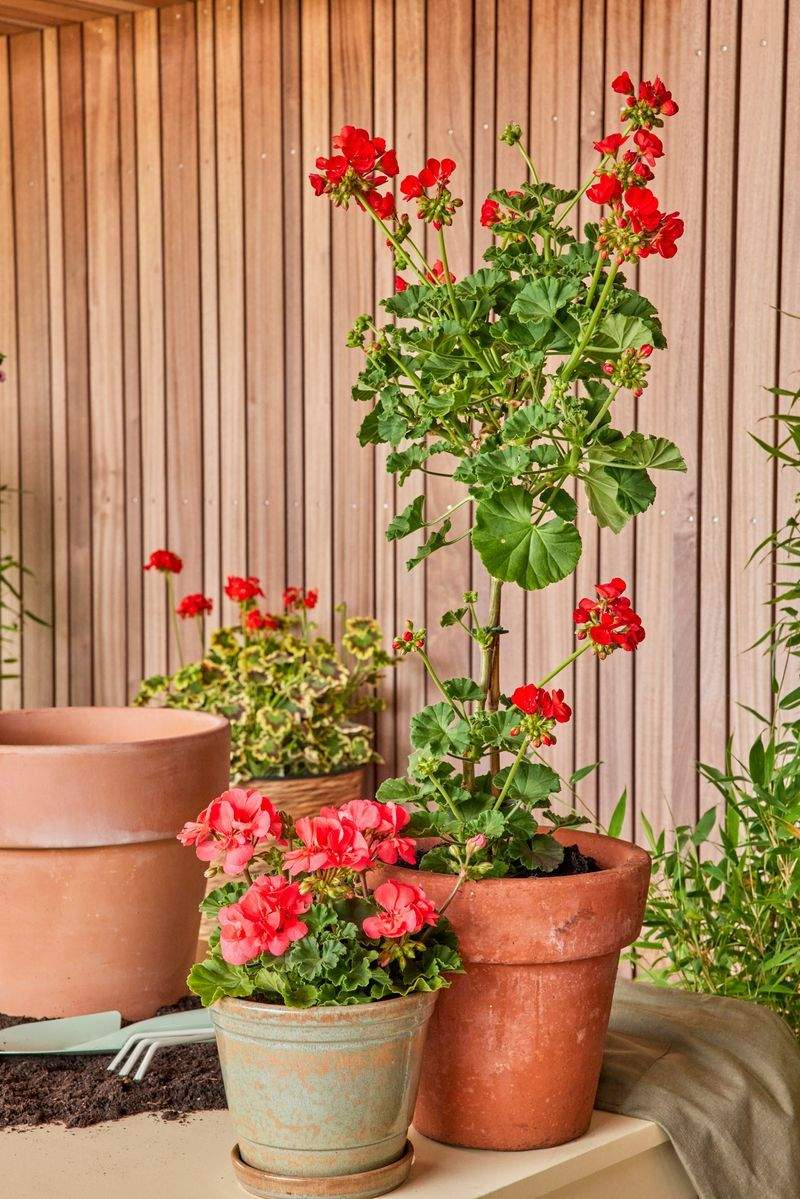 Grünblick Gartenservice GmbH 5