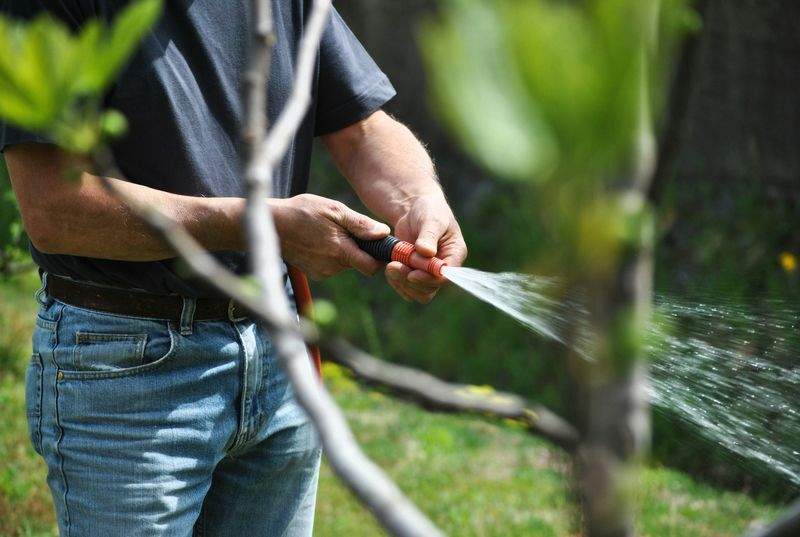 Grünblick Gartenservice GmbH